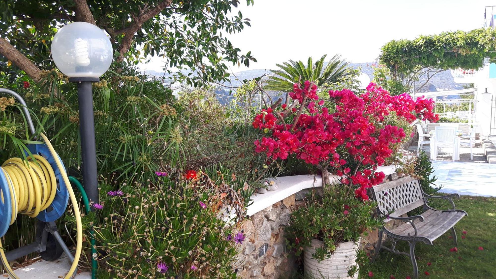 Appartement Casa Acqua Marina Ponza Extérieur photo